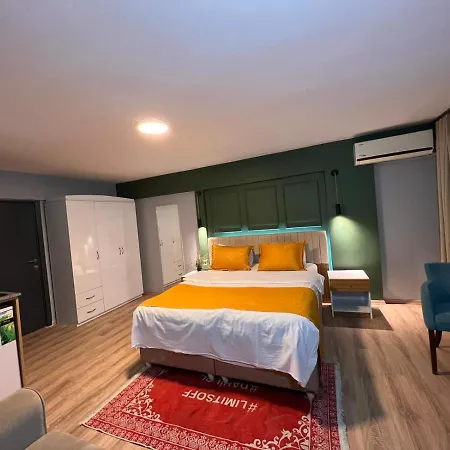 Aristo Galata Suites شقة *